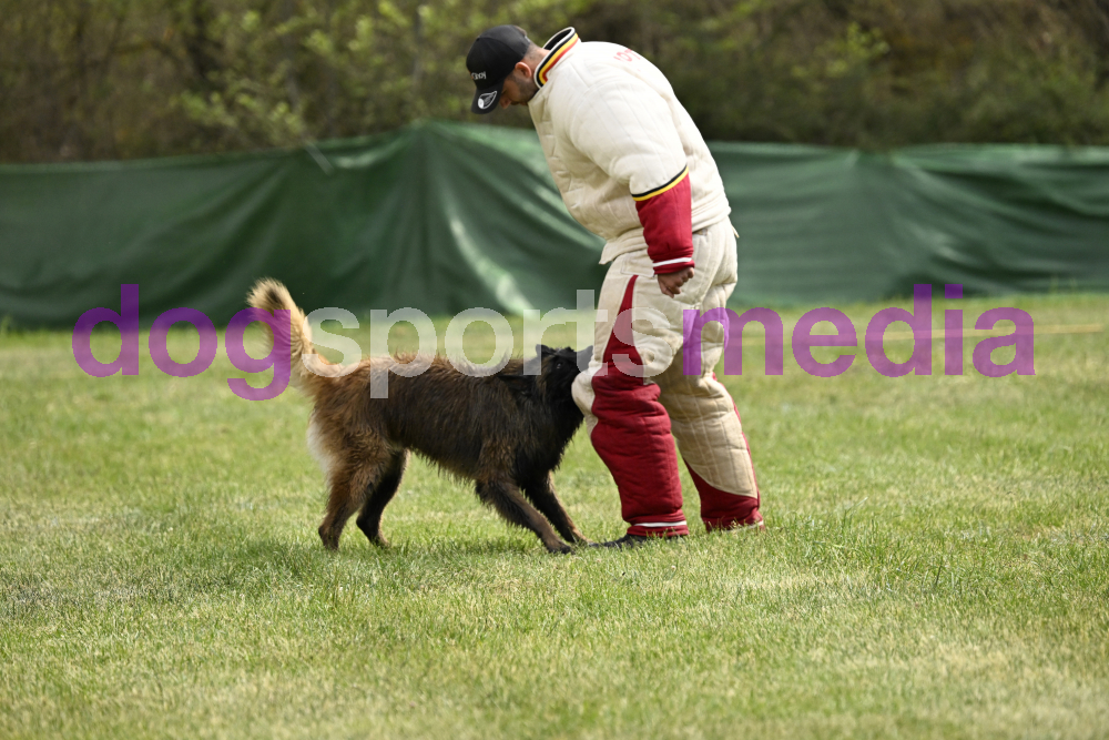 Preview _JRI_20008.jpg